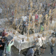 Illustration for article titled Turiba University Sets World Record With 1,911 Simultaneous Coke-Mentos Explosions